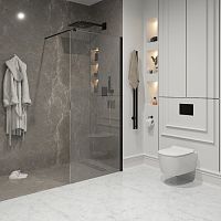 Душевая перегородка Niagara Nova NG-683-ВLACK 90, 100, 110, 120*195, профиль черный