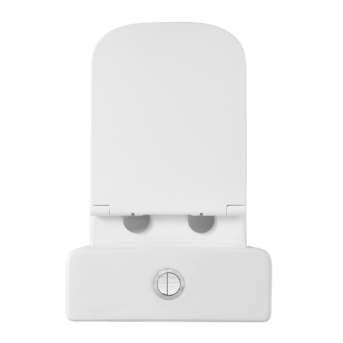 Унитаз напольный безободковый Azario Terra AZ-6003-A, смыв Торнадо фото 4