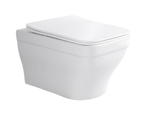 Унитаз подвесной безободковый Aquatek Амадео AQ1163-00, сиденье с м/л