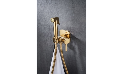 Смеситель встроенный монтаж с гигиеническим душем Lemark SOLO LM7165G золото фото 2