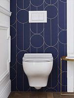 Унитаз подвесной безободковый Jacob Delafon Struktura Compact EDF102-00, сидение микролифт E70025-00