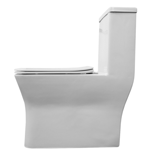 Унитаз-моноблок напольный безободковый Azario Vero AZ-8608 фото 8