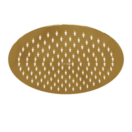 Верхняя душевая лейка Wasserkraft Sauer A208 глянцевое золото