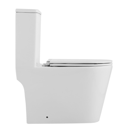 Унитаз-моноблок напольный безободковый Azario Nimbus AZ-6080-AP, смыв Торнадо фото 6