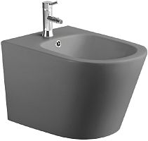 Биде подвесное Aquatek Вега AQ1057-MG, серый матовый