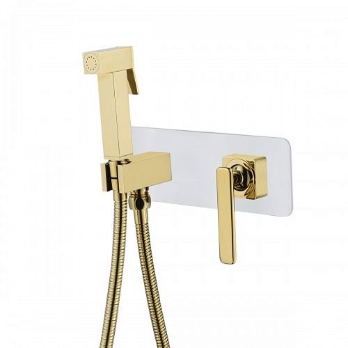 Смеситель встроенный монтаж с гигиеническим душем Lemark Mista LM6419WG белый-золото