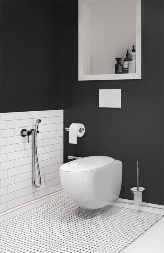 Смеситель с гигиенической лейкой Kludi Bozz 389990576 хром фото 3