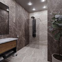 Душевая перегородка Radomir Walk-in 100, 110, 120 стекло прозрачное