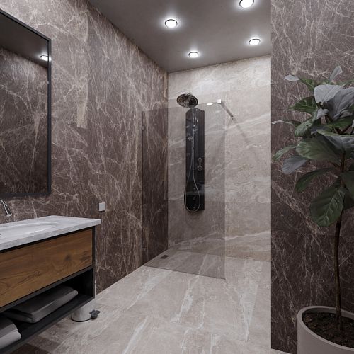 Душевая перегородка Radomir Walk-in 100, 110, 120 стекло прозрачное