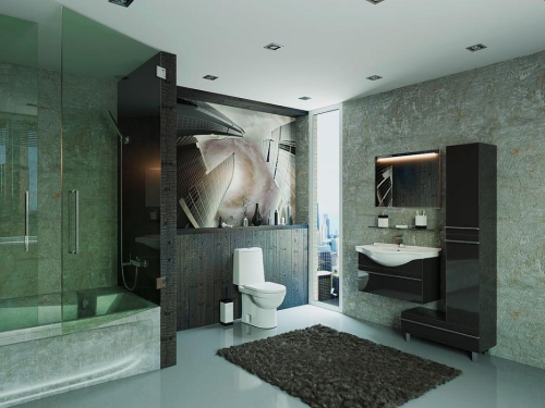 Компакт Sanita Lux Next дюропласт с микролифтом фото 5