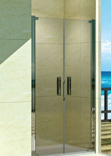 Душевая дверь WeltWasser 80 90 100 120 WW600 600K2 прозрачная