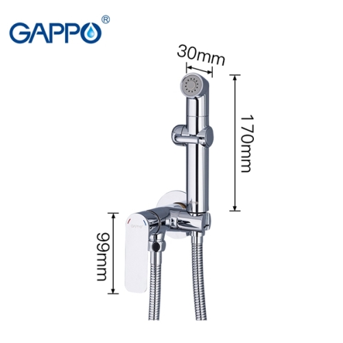 Смеситель с гигиеническим душем Gappo Noar G7248-1 хром фото 3