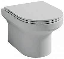 Унитаз подвесной безободковый Jacob Delafon Elite EDX114RU-00, сидение микролифт