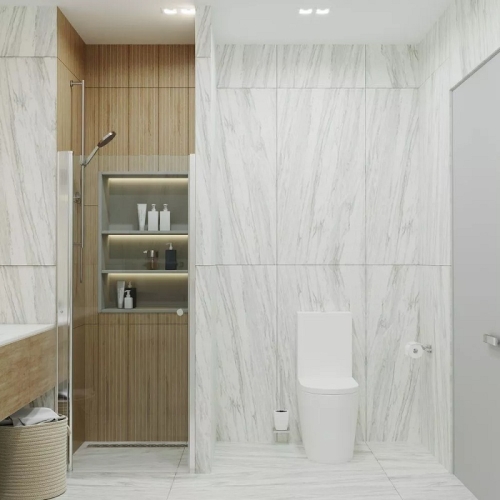 Душевая дверь Triton Уно 70, 80, 90, 100 стекло прозрачное фото 4