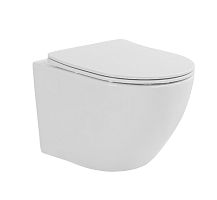 Унитаз подвесной безободковый Taliente Amato AM55003, смыв Торнадо