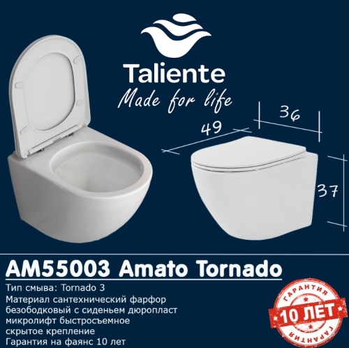 Унитаз подвесной безободковый Taliente Amato AM55003, смыв Торнадо фото 2