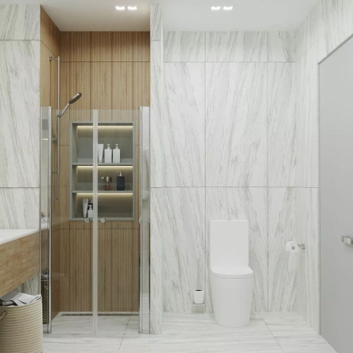 Душевая дверь Triton Дабл 90, 100 стекло прозрачное фото 3