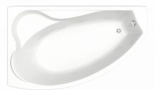 Ванна акриловая BAS Николь 170*100 с каркасом